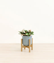 Load image into Gallery viewer, Misty Blue stand:bamboo