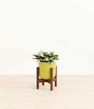 Load image into Gallery viewer, Key Lime Yellow stand:walnut