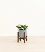 Load image into Gallery viewer, Misty Blue stand:walnut