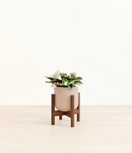 Load image into Gallery viewer, Sandy Pink stand:walnut
