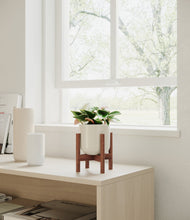 Load image into Gallery viewer, Cotton White stand:walnut