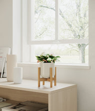 Load image into Gallery viewer, Cotton White stand:bamboo