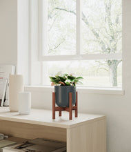 Load image into Gallery viewer, Iron Gray stand:walnut