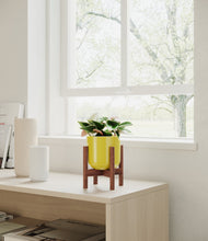 Load image into Gallery viewer, Key Lime Yellow stand:walnut