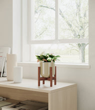 Load image into Gallery viewer, Sage Green stand:walnut
