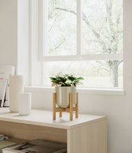 Load image into Gallery viewer, Sage Green stand:bamboo