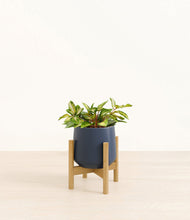 Load image into Gallery viewer, Deep Navy stand:bamboo