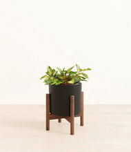 Load image into Gallery viewer, Black stand:walnut
