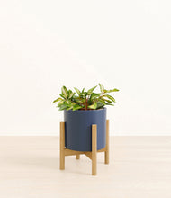 Load image into Gallery viewer, Deep Navy stand:bamboo