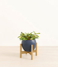 Load image into Gallery viewer, Deep Navy stand:bamboo