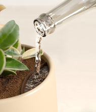 Load image into Gallery viewer, Almond Green stand:all