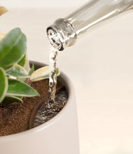 Load image into Gallery viewer, Eternal Gray stand:all