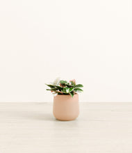 Load image into Gallery viewer, Gentle Pink*****Profile