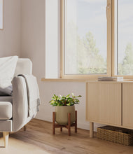 Load image into Gallery viewer, Olive stand:walnut