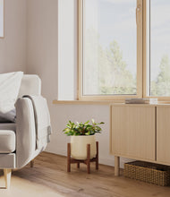 Load image into Gallery viewer, Almond Green stand:walnut