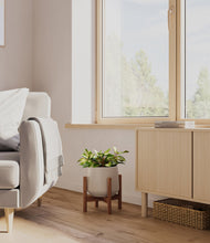 Load image into Gallery viewer, Eternal Gray stand:walnut