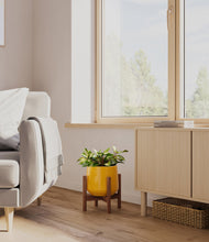 Load image into Gallery viewer, Mustard stand:walnut