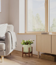 Load image into Gallery viewer, Turquoise stand:walnut