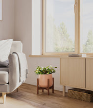 Load image into Gallery viewer, Calm Rose stand:walnut