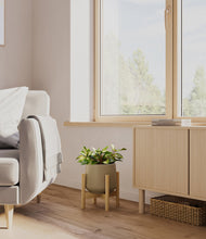 Load image into Gallery viewer, Olive stand:bamboo