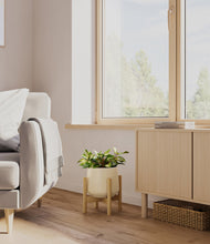 Load image into Gallery viewer, Almond Green stand:bamboo