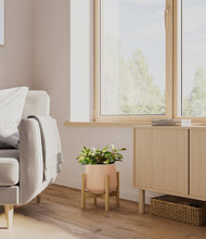 Load image into Gallery viewer, Gentle Pink stand:bamboo