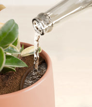 Load image into Gallery viewer, Calm Rose stand:all