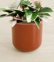 Load image into Gallery viewer, Glossy Red stand:all