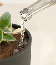 Load image into Gallery viewer, Dark Olive stand:all