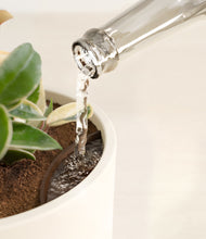 Load image into Gallery viewer, Cream stand:all