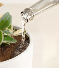 Load image into Gallery viewer, White stand:all