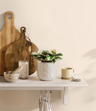 Load image into Gallery viewer, Hammered Ivory