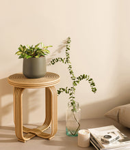 Load image into Gallery viewer, Olive