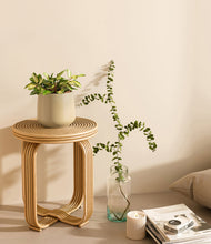 Load image into Gallery viewer, Almond Green