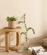 Load image into Gallery viewer, Gentle Pink