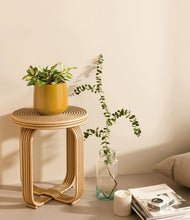 Load image into Gallery viewer, Mustard