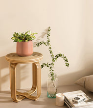 Load image into Gallery viewer, Calm Rose