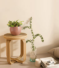 Load image into Gallery viewer, Calm Rose