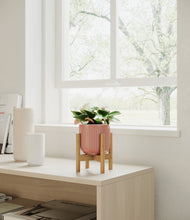 Load image into Gallery viewer, Striped Rose Pink stand:bamboo