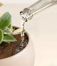 Load image into Gallery viewer, Desert Brown stand:all