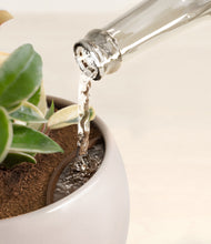 Load image into Gallery viewer, Winter Clouds stand:all