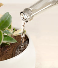 Load image into Gallery viewer, Shiny EggWhite stand:all