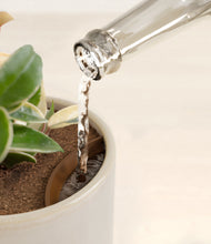 Load image into Gallery viewer, Snowdrift White stand:all