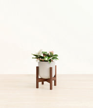 Load image into Gallery viewer, Snowdrift White stand:walnut