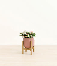 Load image into Gallery viewer, Striped Rose Pink stand:bamboo