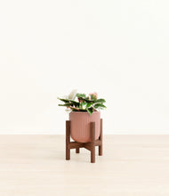 Load image into Gallery viewer, Striped Rose Pink stand:walnut