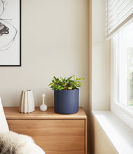 Load image into Gallery viewer, Deep Navy