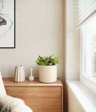 Load image into Gallery viewer, Cream