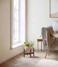 Load image into Gallery viewer, Desert Brown stand:walnut