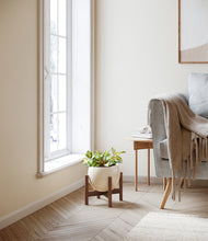 Load image into Gallery viewer, Shiny EggWhite stand:walnut